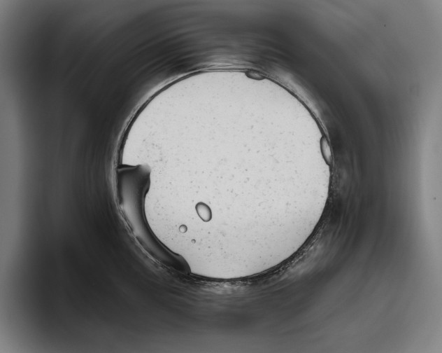 X0000093381195200711081538