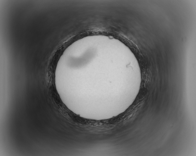 X0000093381207200711081538