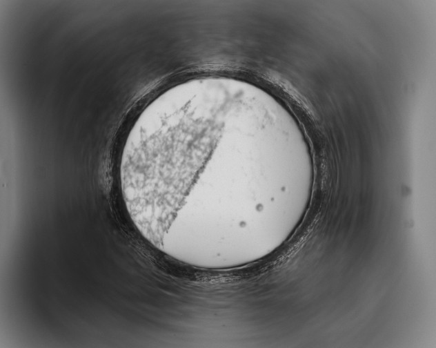 X0000093381213200711081538