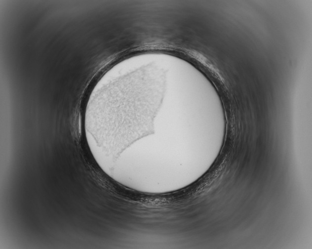 X0000093381221200711081538