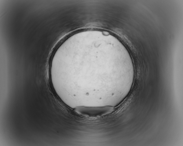 X0000093381224200711081538