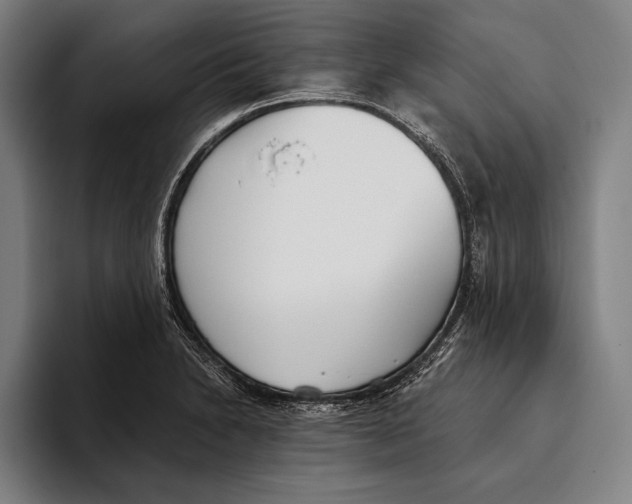 X0000093381230200711081538