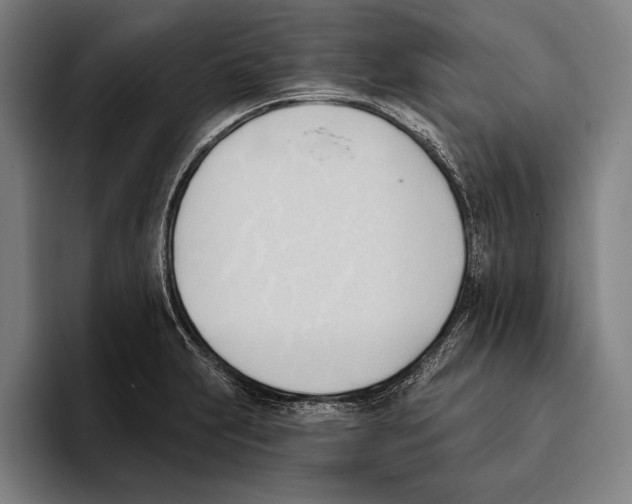 X0000093381231200711081538