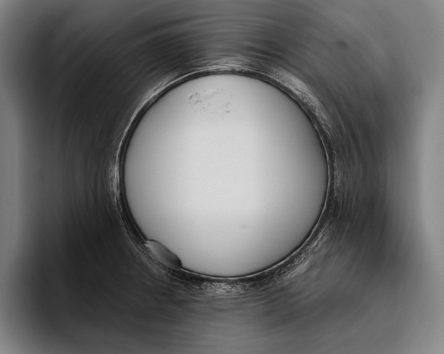 X0000093381234200711081538