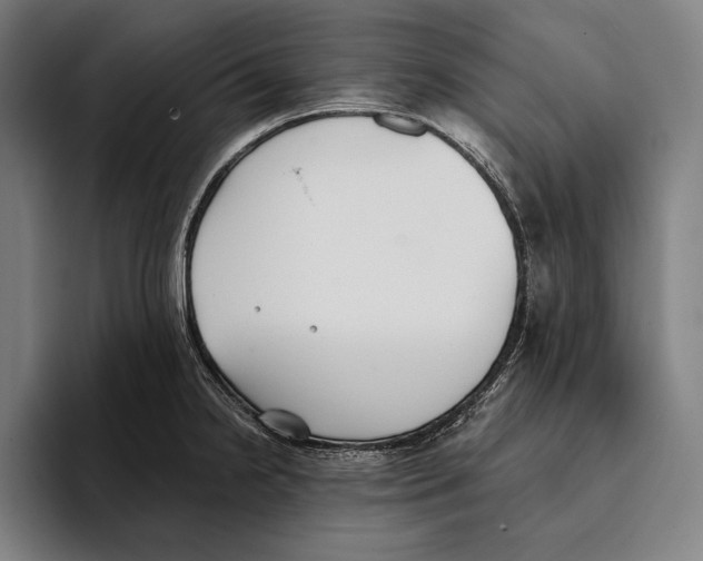 X0000093381238200711081538