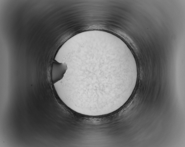 X0000093381241200711081538