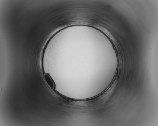 X0000093381246200711081538