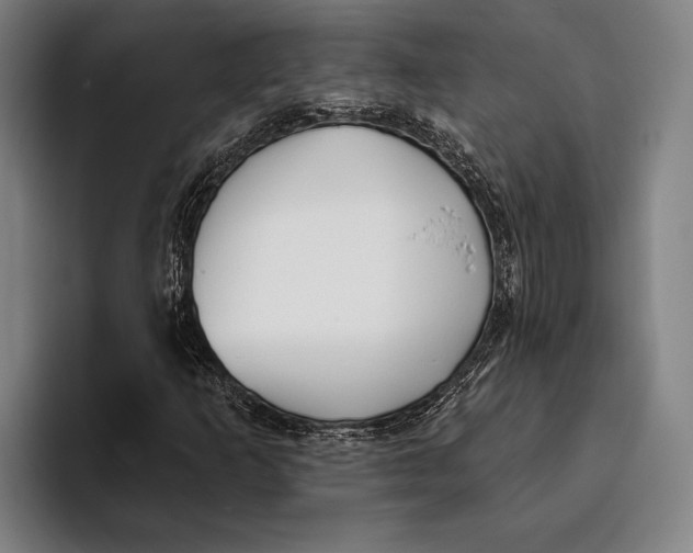 X0000093381253200711081538