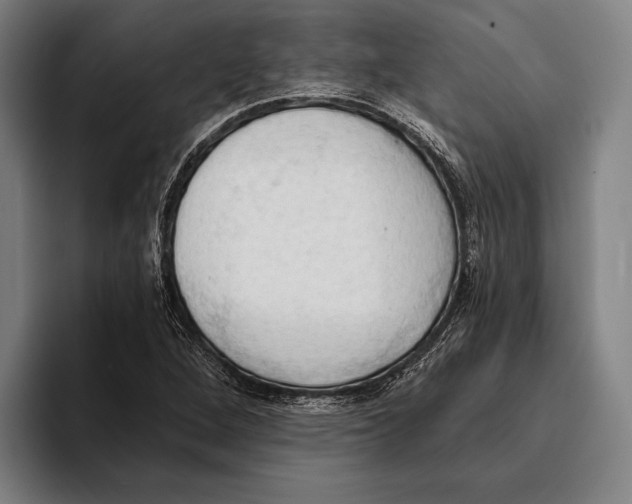 X0000093381264200711081538