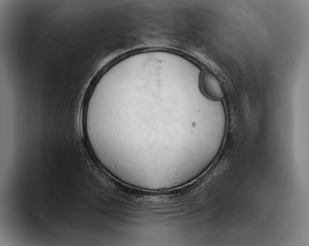 X0000093381272200711081537