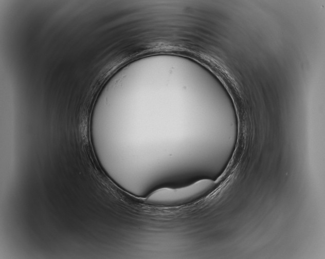 X0000093381273200711081537