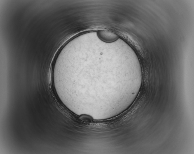 X0000093381276200711081537