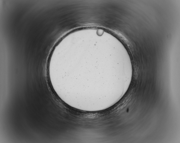 X0000093381279200711081537