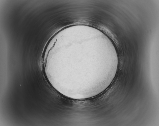 X0000093381284200711081537