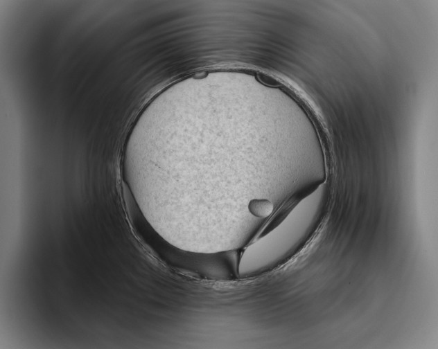 X0000093381289200711081537