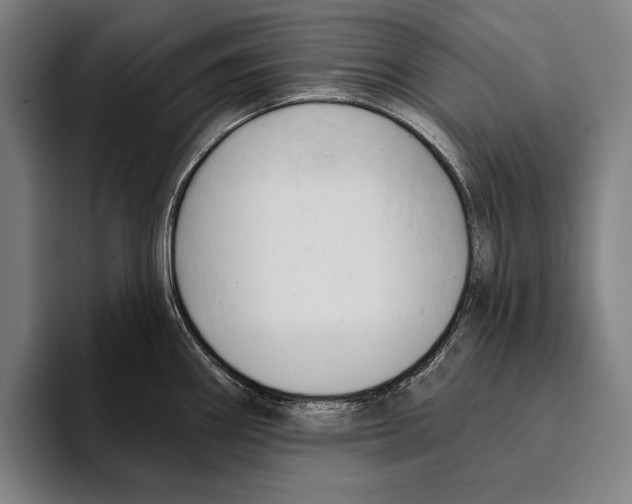 X0000093381290200711081537