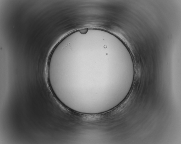 X0000093381294200711081537