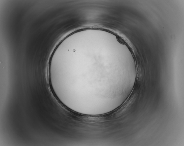 X0000093381295200711081537