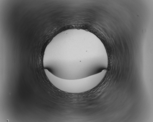 X0000093381298200711081537