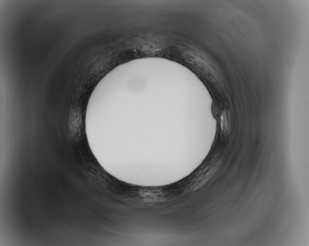 X0000093381299200711081537