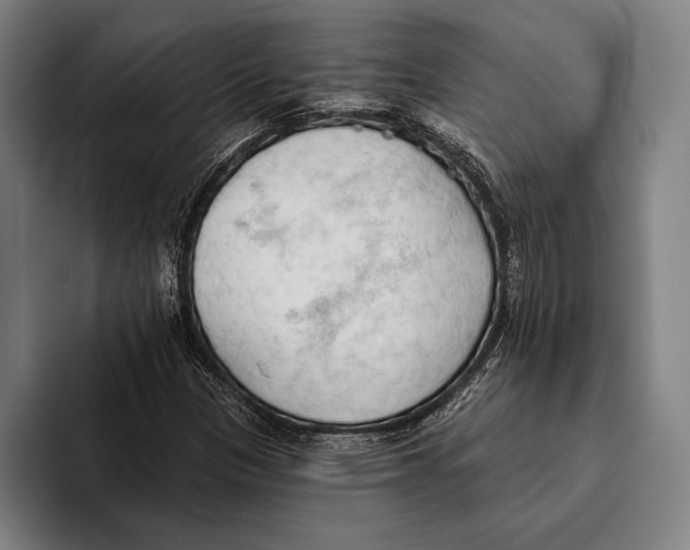 X0000093381305200711081537