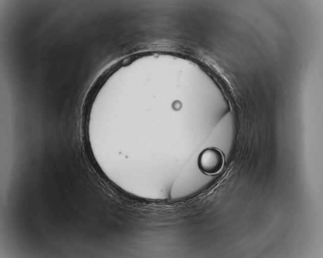 X0000093381312200711081537