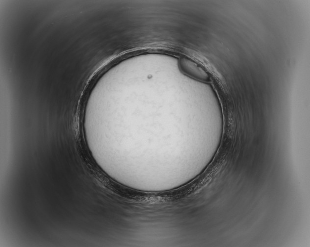 X0000093381316200711081537