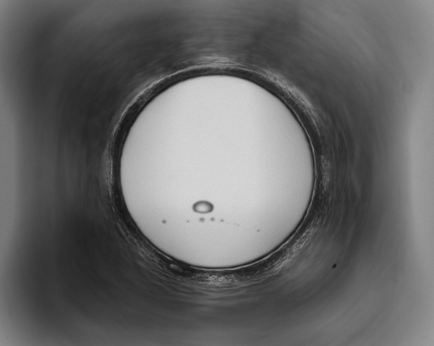 X0000093381318200711081537