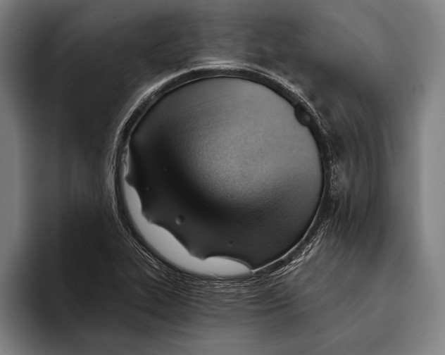 X0000093381319200711081537