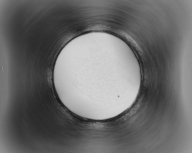 X0000093381329200711081537