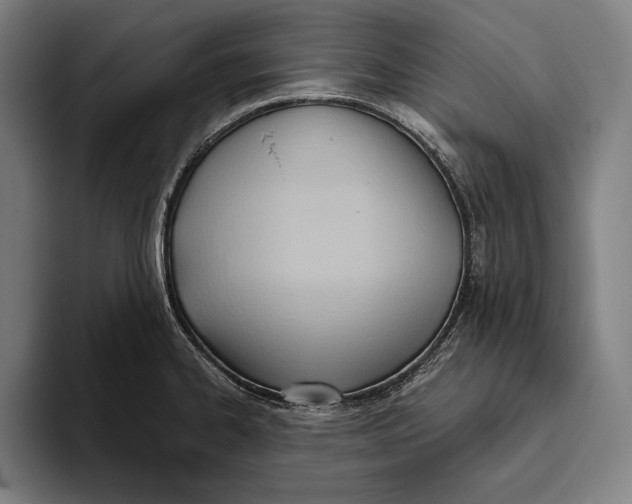 X0000093381334200711081537