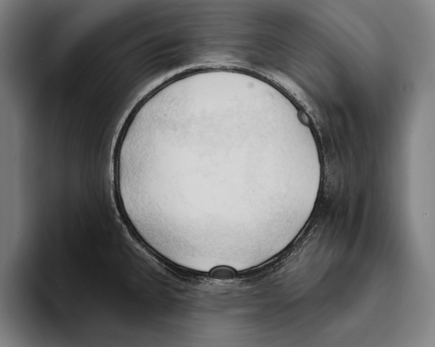 X0000093381335200711081537