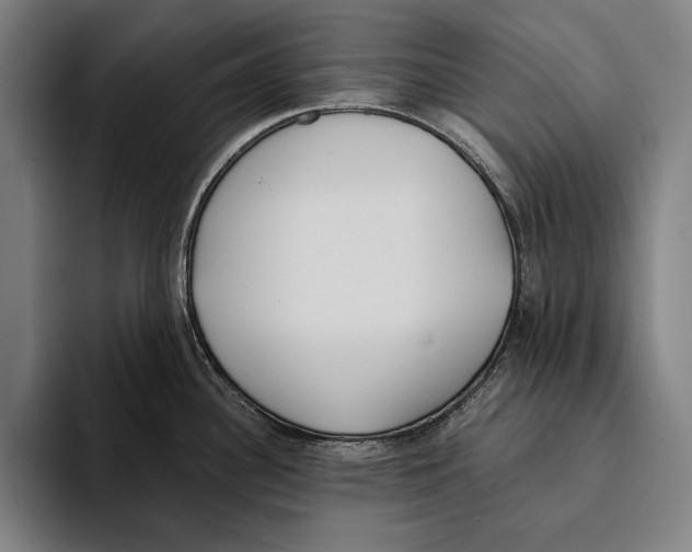 X0000093381340200711081537