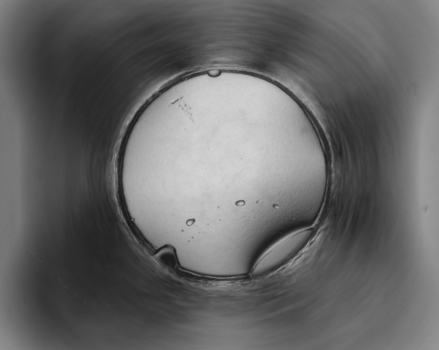 X0000093381341200711081537