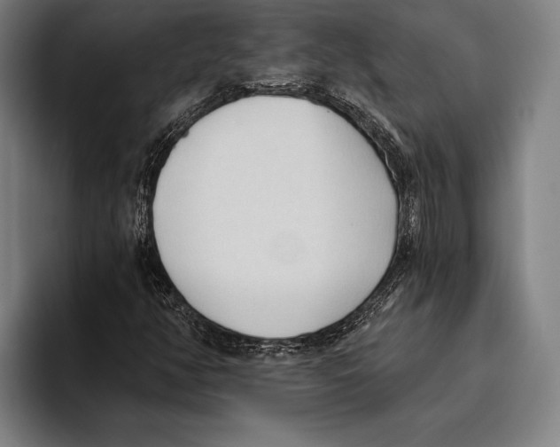 X0000093381350200711081536