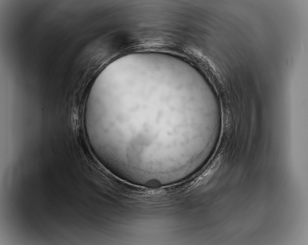 X0000093381353200711081536