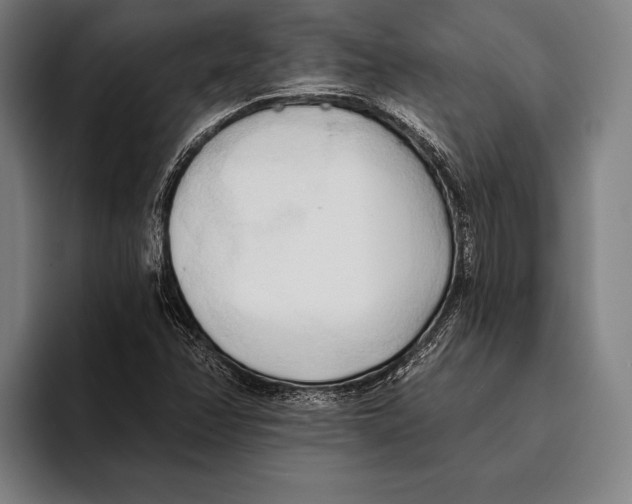 X0000093381358200711081536