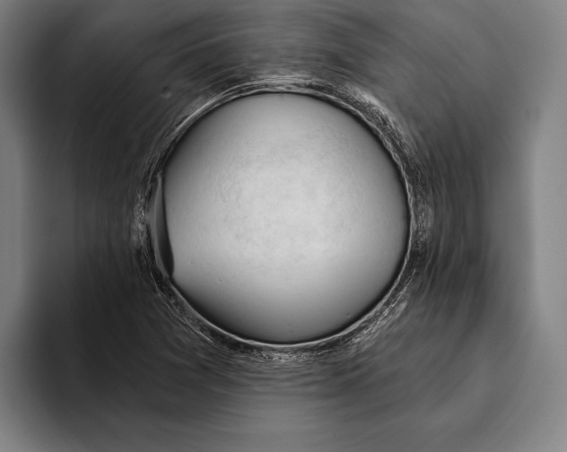 X0000093381361200711081536