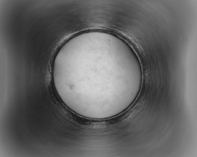 X0000093381363200711081536