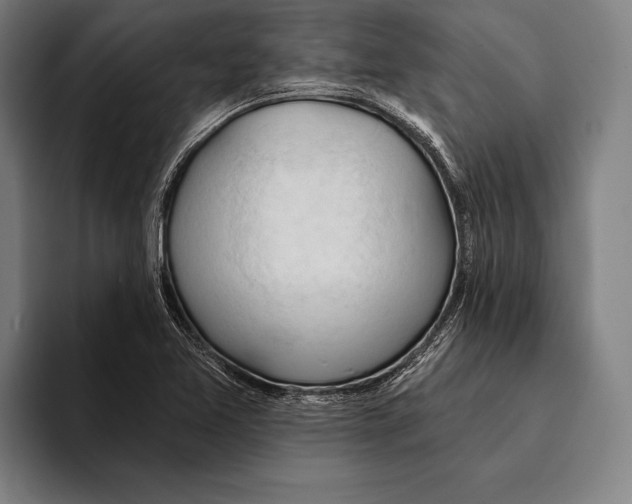 X0000093381365200711081536