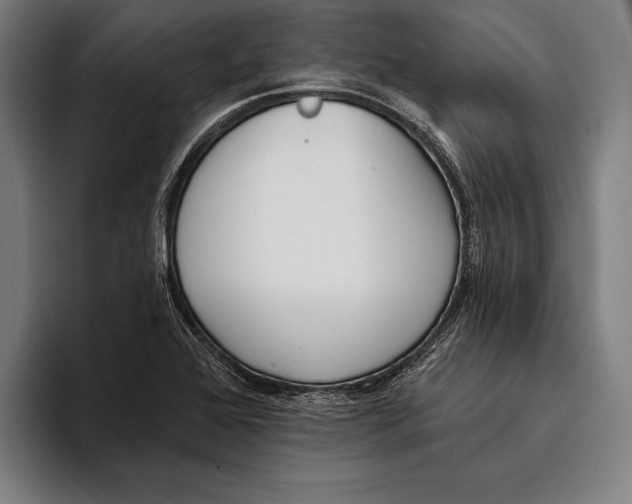 X0000093381368200711081536