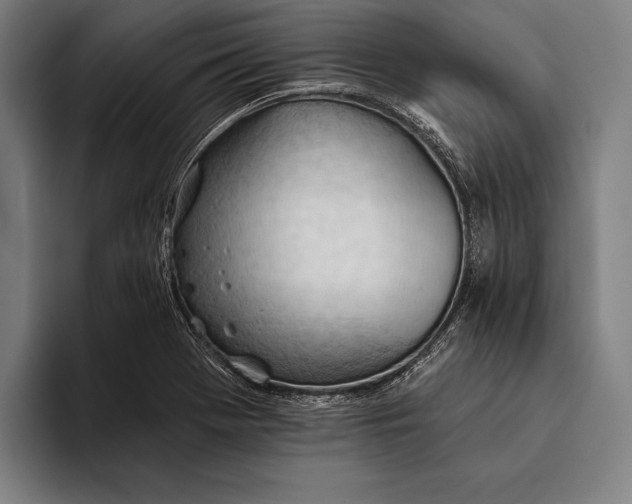 X0000093381369200711081536