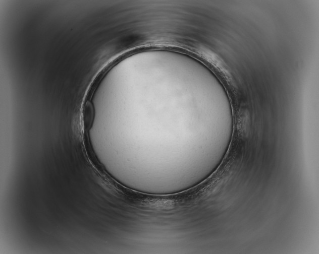 X0000093381372200711081536