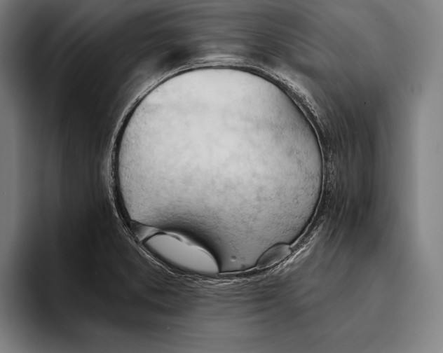 X0000093381373200711081536