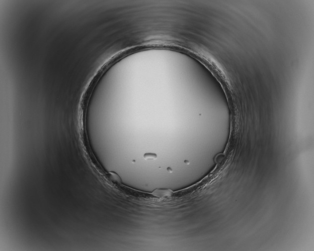 X0000093381376200711081536