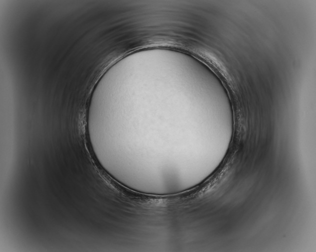 X0000093381377200711081536