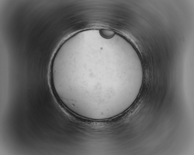 X0000093381379200711081536