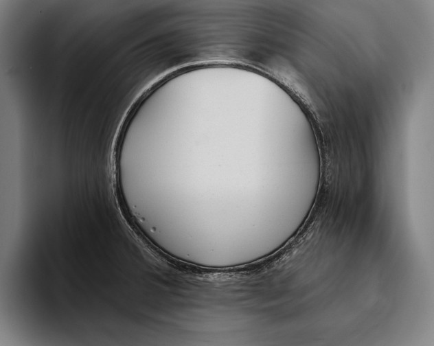 X0000093381380200711081536