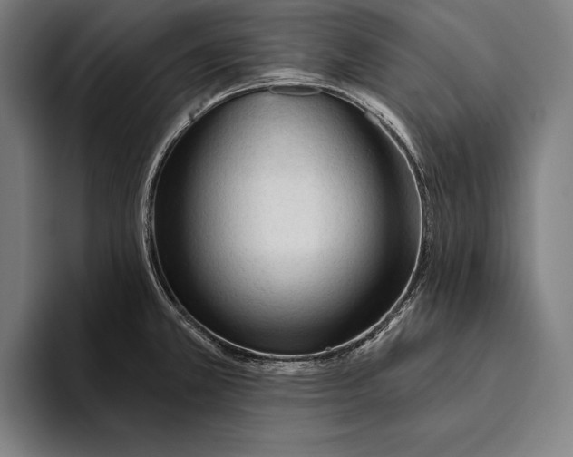 X0000093381381200711081536