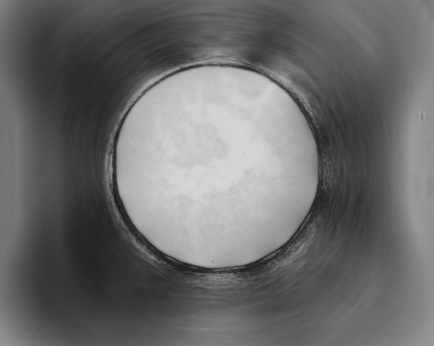 X0000093381383200711081536